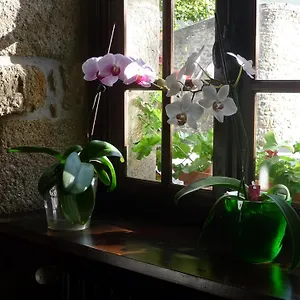 Le Ratelier Hotel